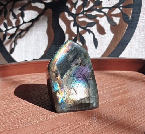 Forme libre Labradorite (Spectrolite)