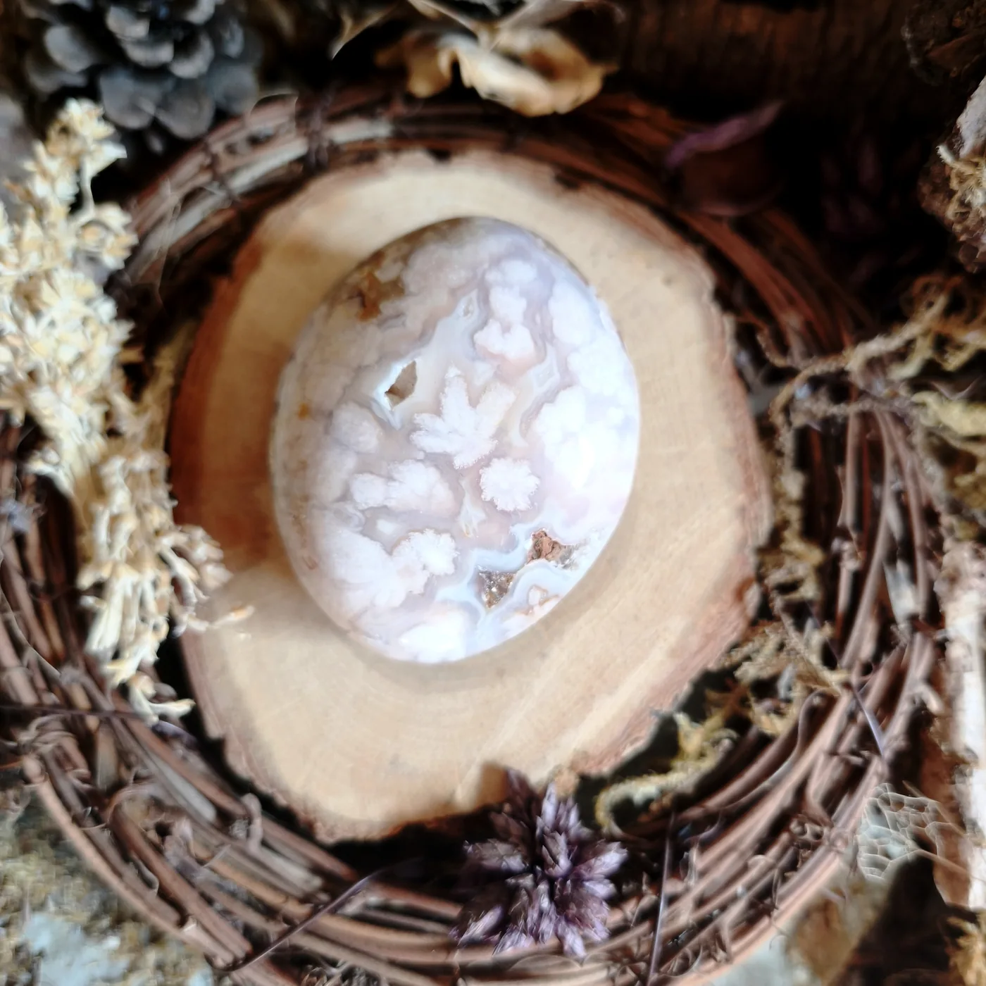 Agate fleur n°31 — recto