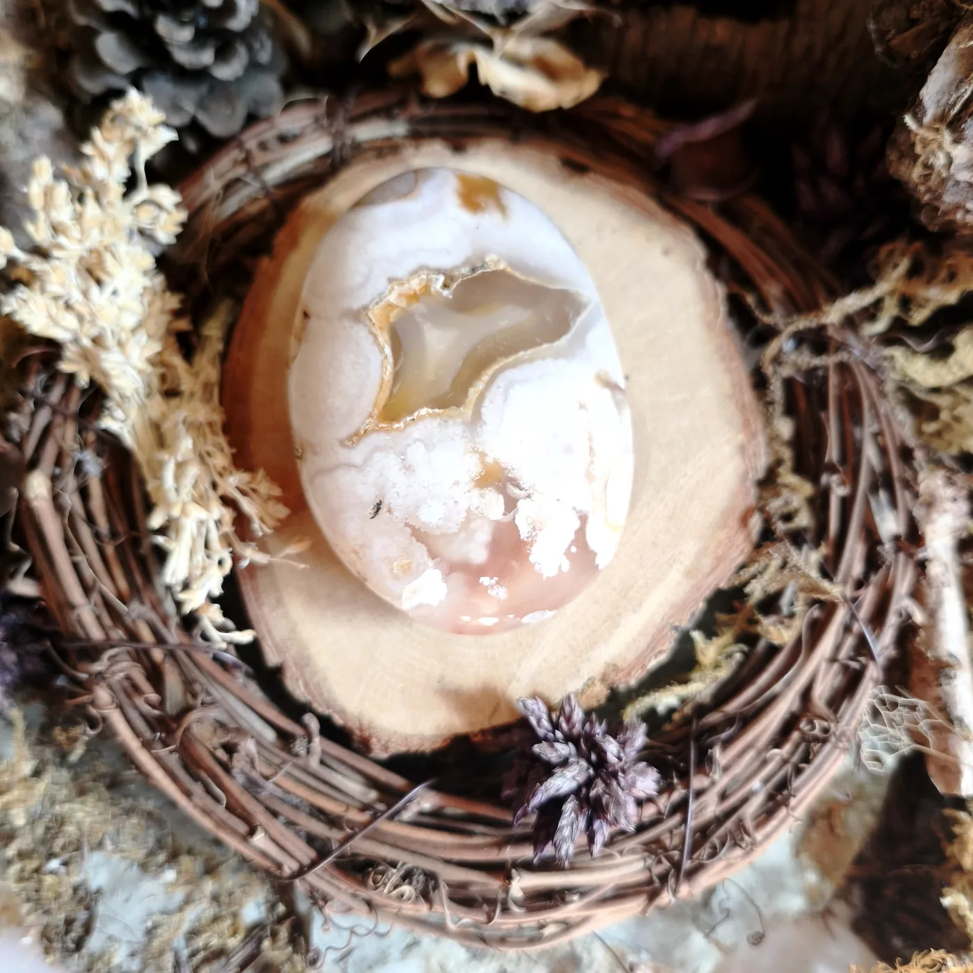 Agate fleur n°34 — verso