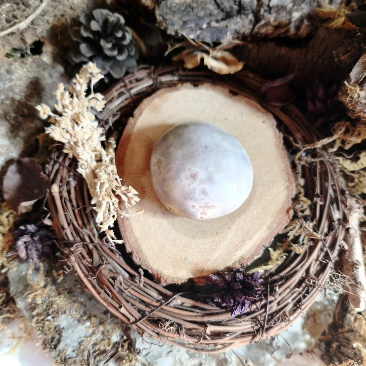 Agate fleur n°38 — recto