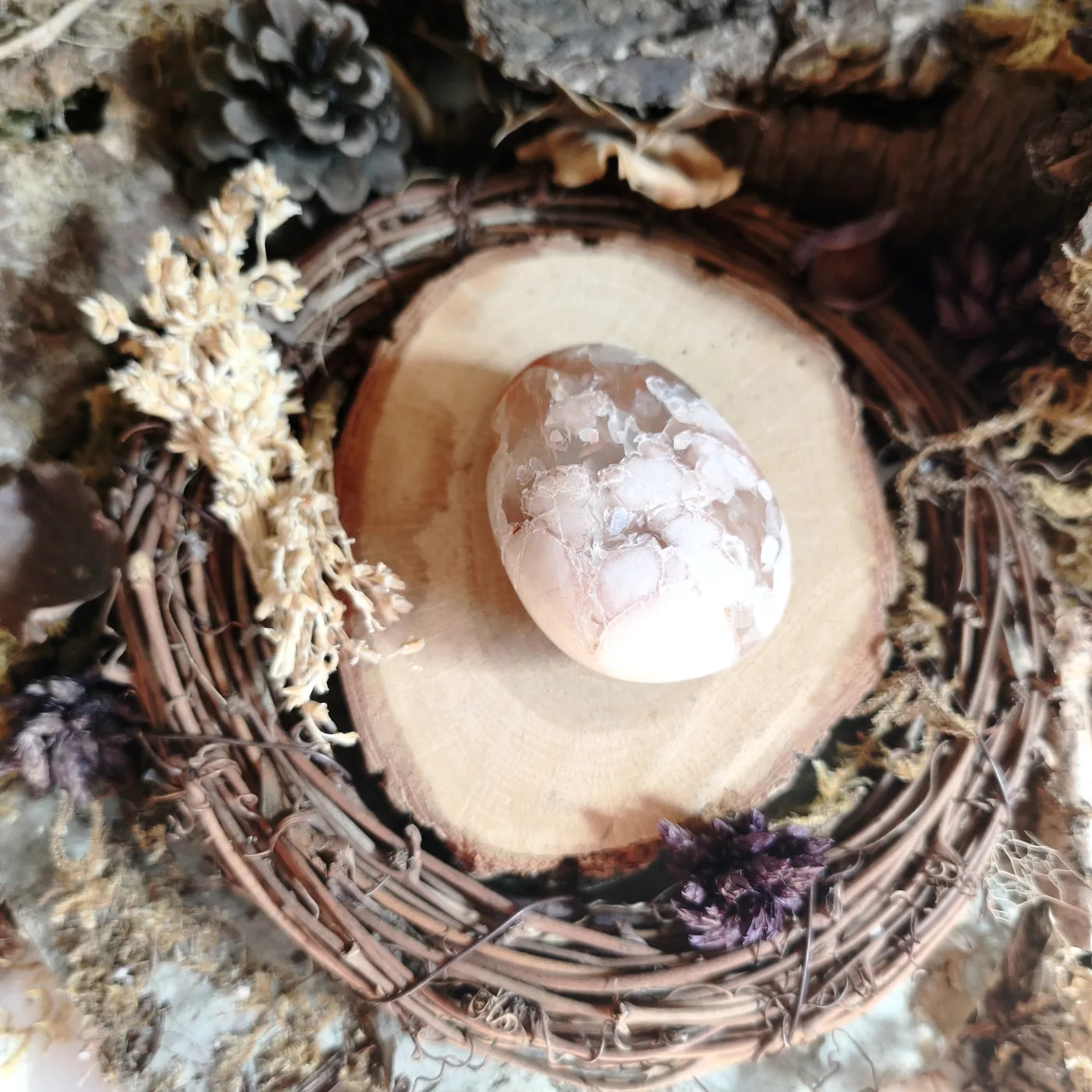 Agate fleur n°39 — recto