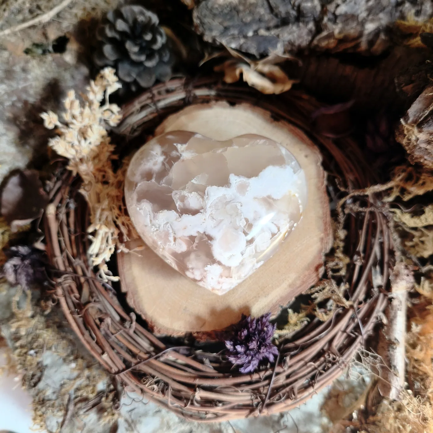 Agate fleur n°41 — recto