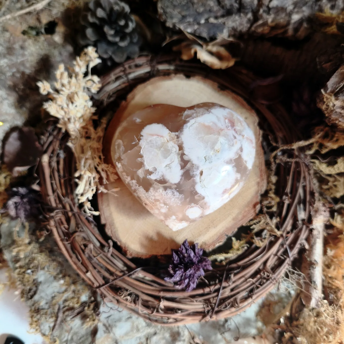 Agate fleur n°41 — verso