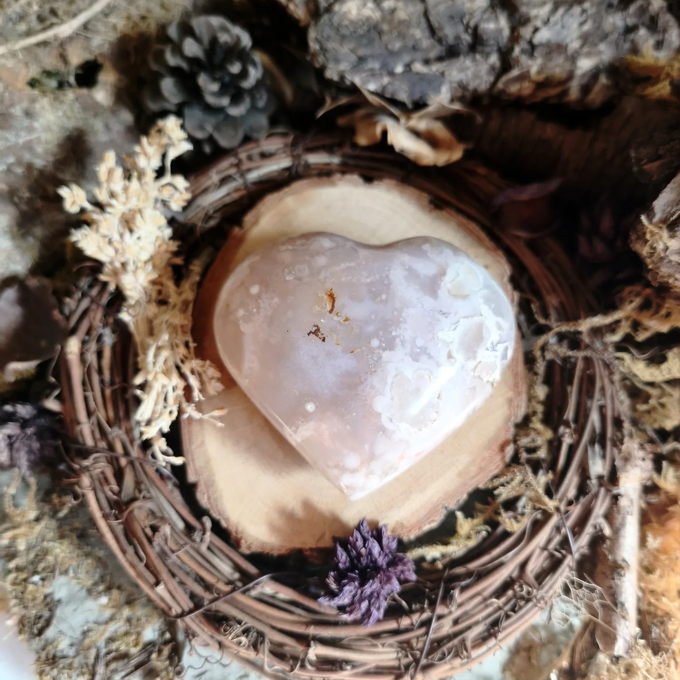Agate fleur n°42 — recto
