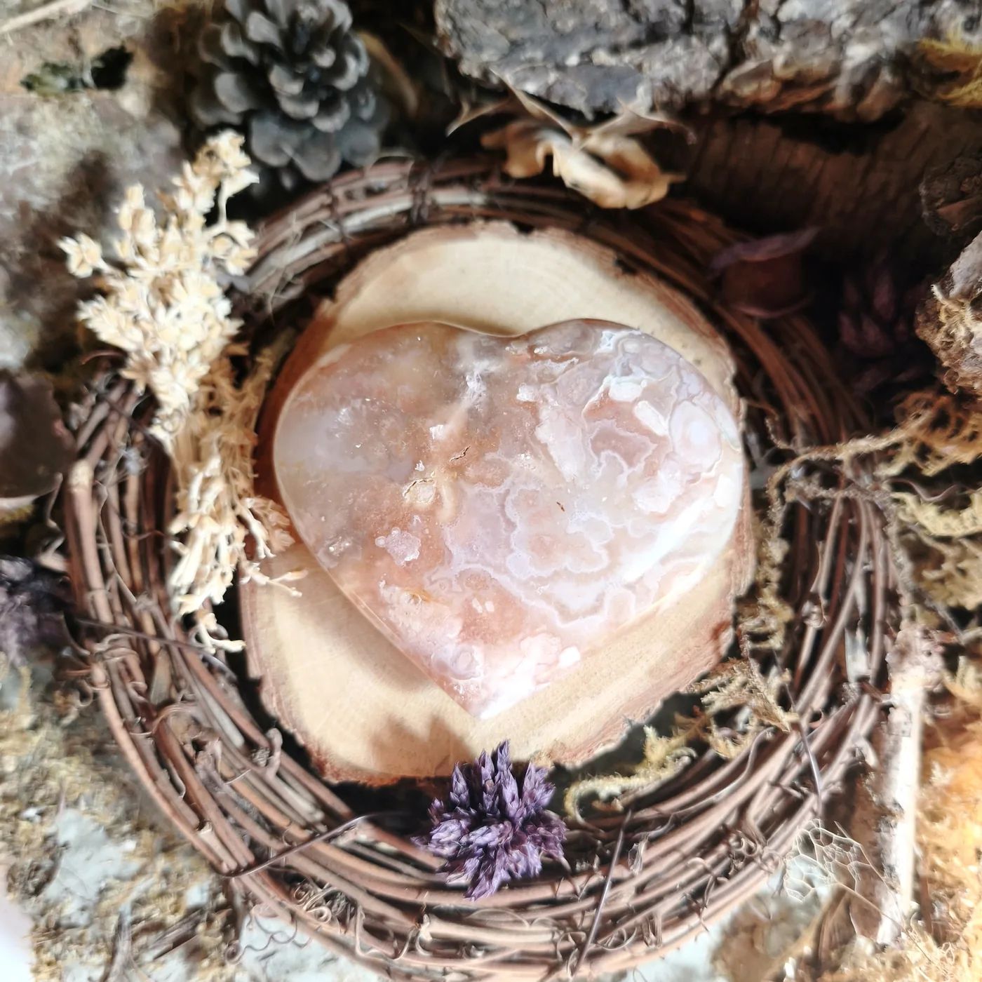 Agate fleur n°43 — recto