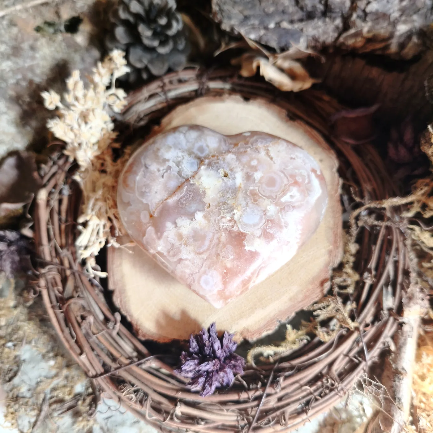 Agate fleur n°43 — verso