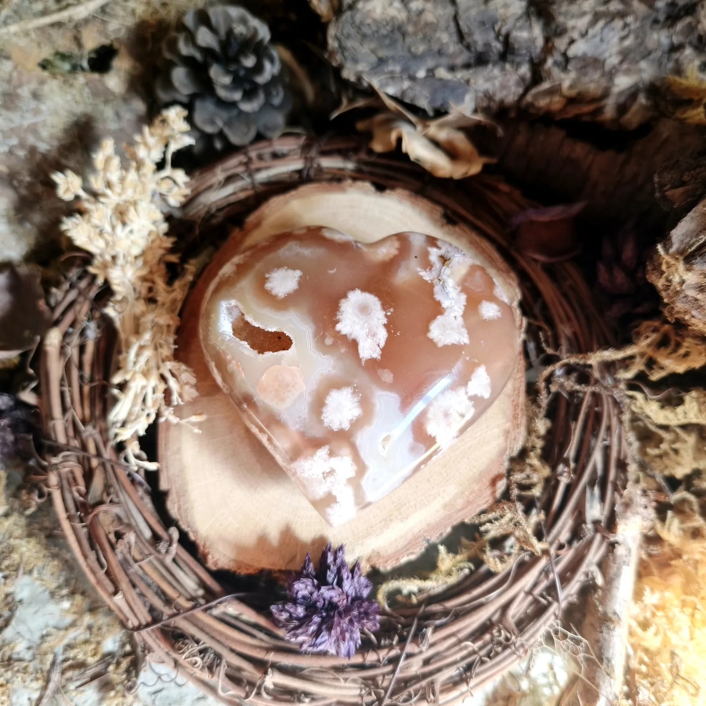 Agate fleur n°44 — recto