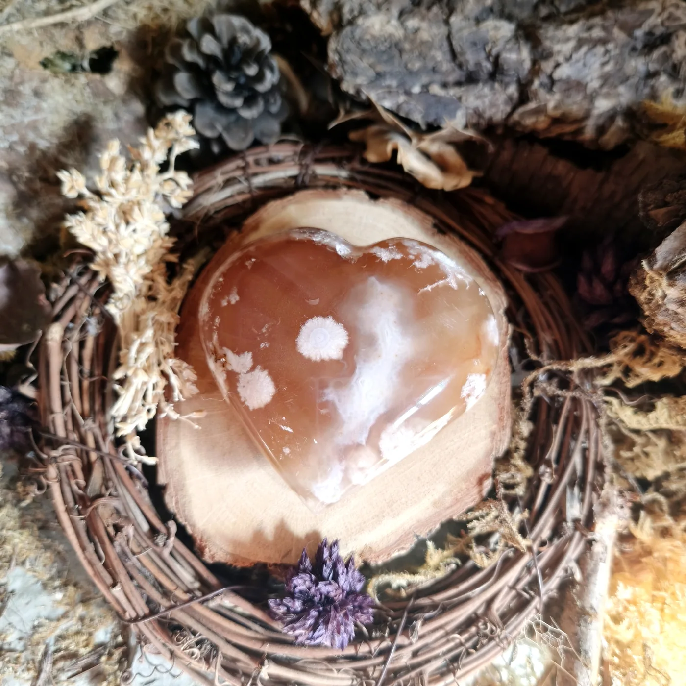 Agate fleur n°44 — verso