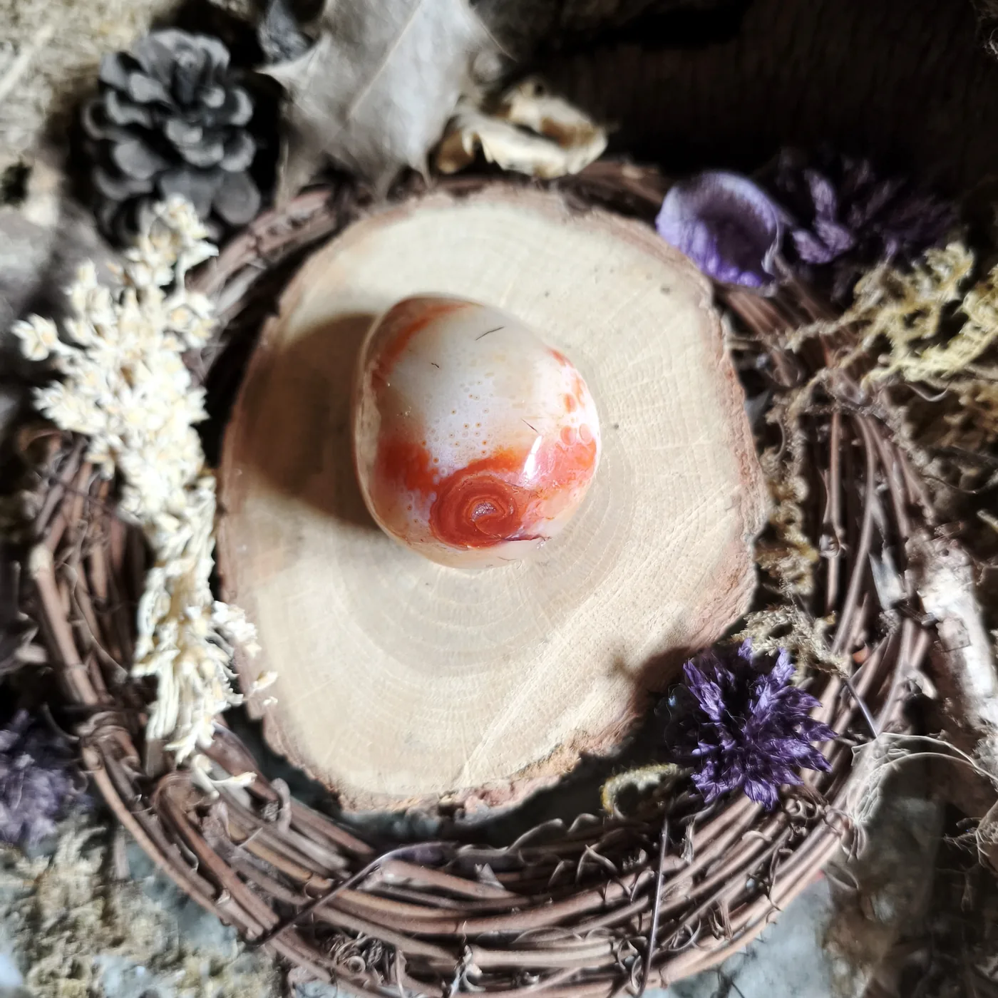 Cornaline n°14 — verso