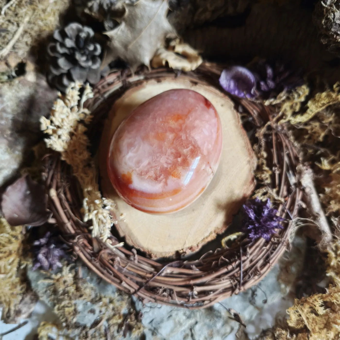 Cornaline n°16 — verso