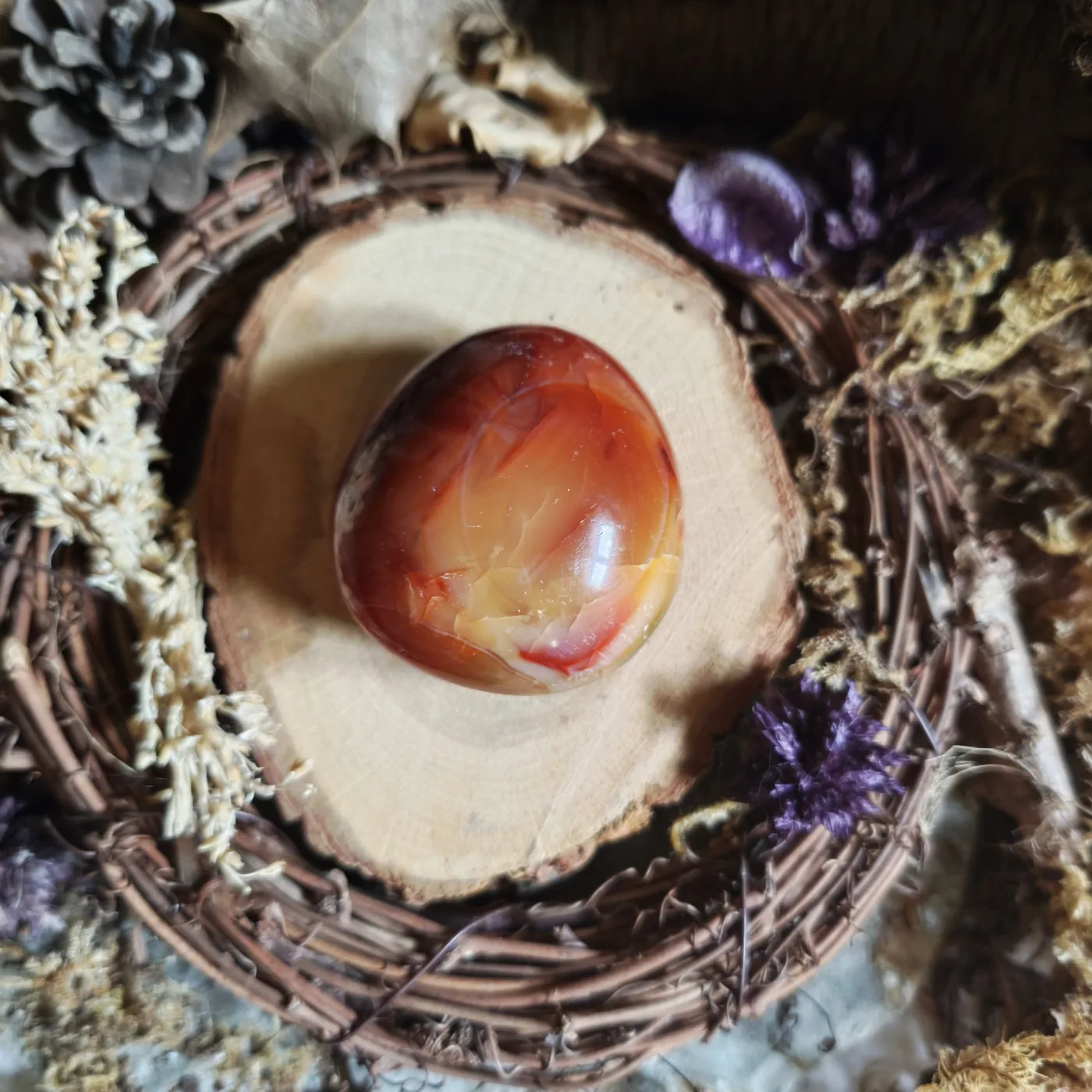 Cornaline n°18 — verso