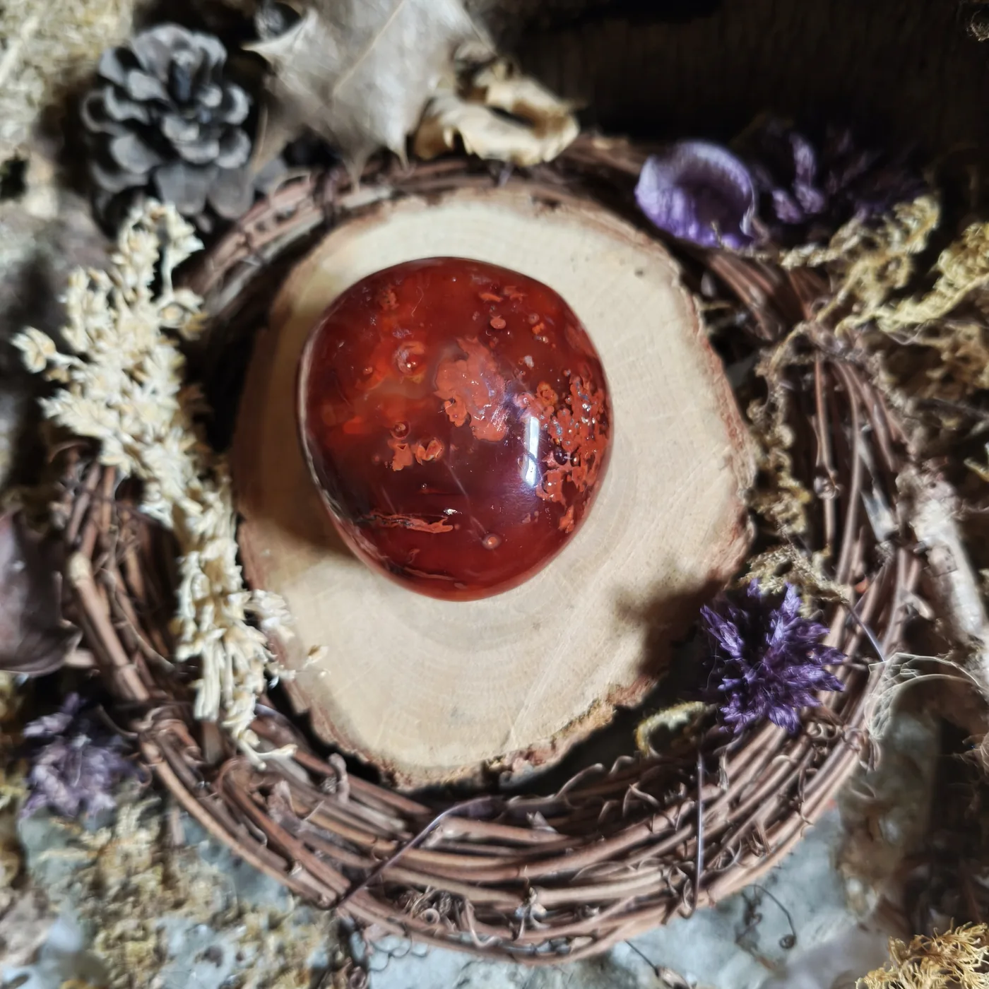 Cornaline n°19 — verso