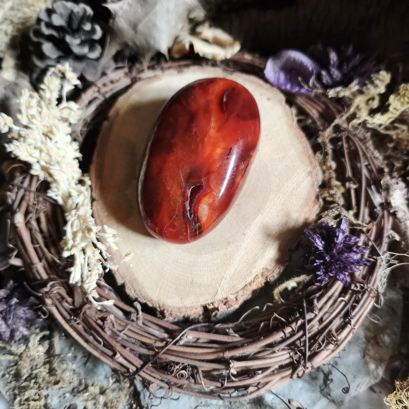 Cornaline n°21 — verso