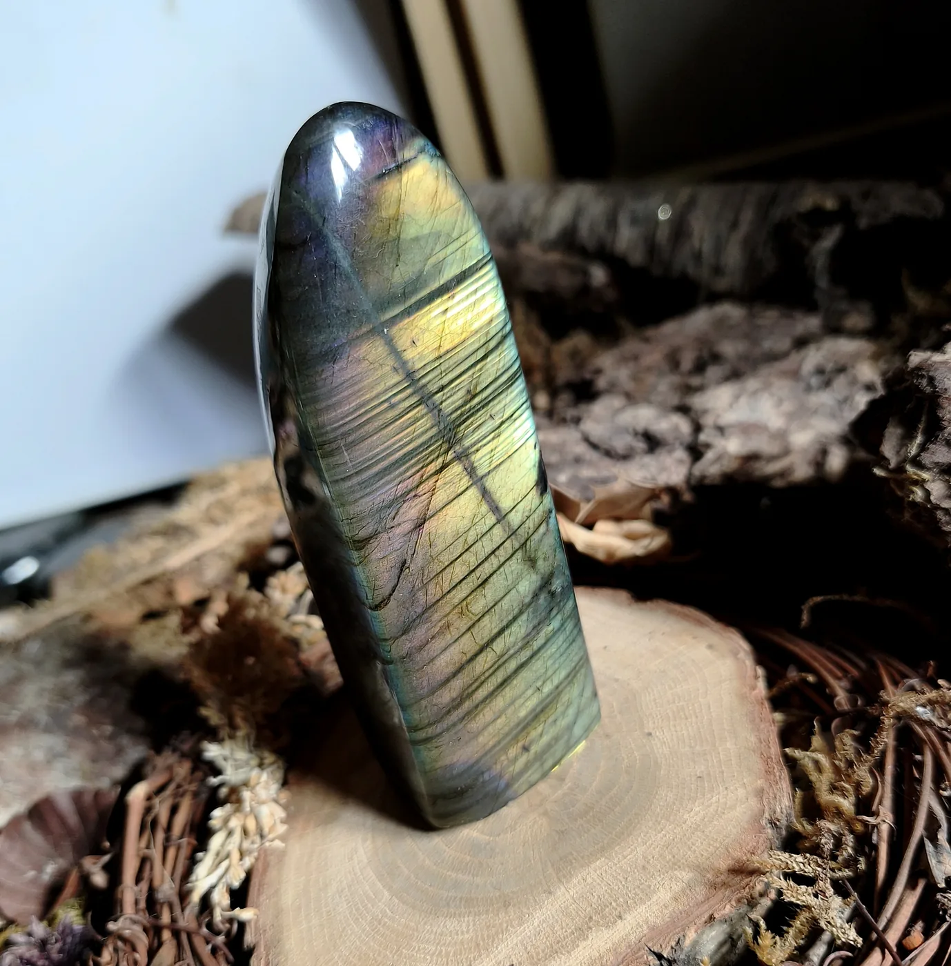 Labradorite violette, forme libre — N°48 — 245 g