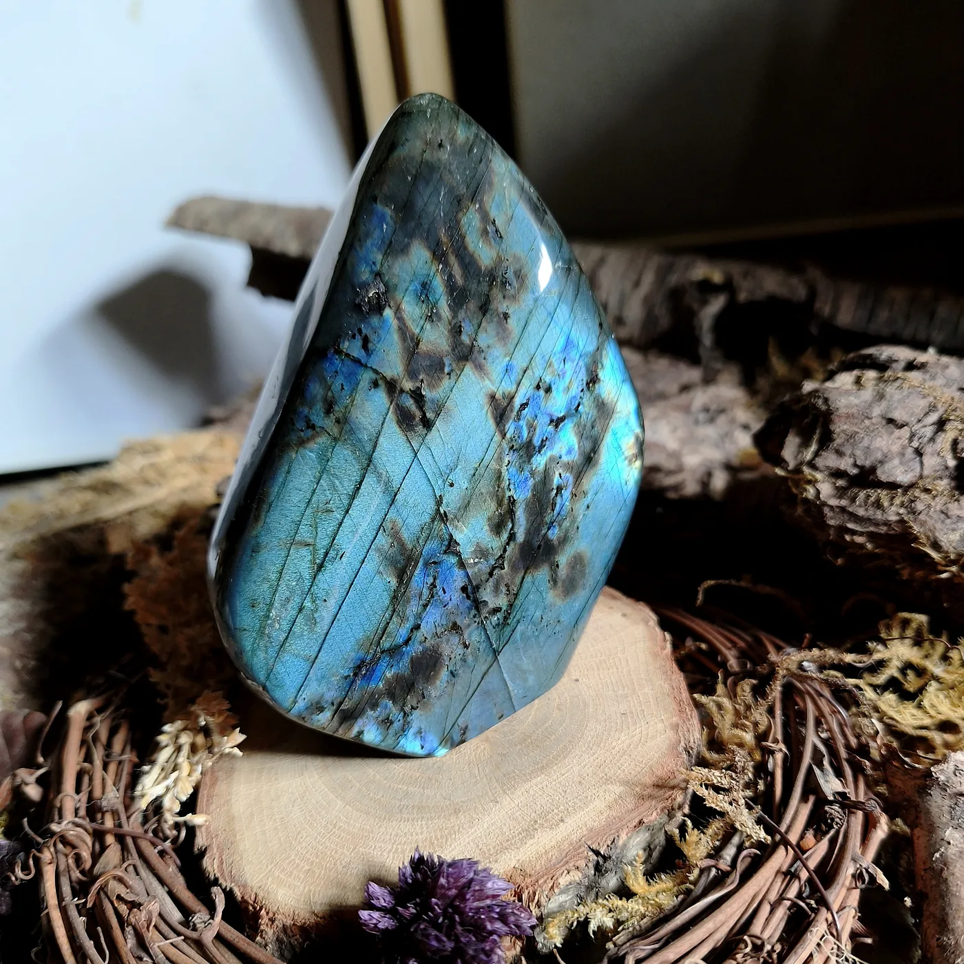 Labradorite violette, forme libre — N°52 — 525 g
